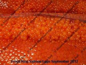 Fresh Salmon Egg, Fresh Salmon Roe, Xtreme Northwest Bait Co